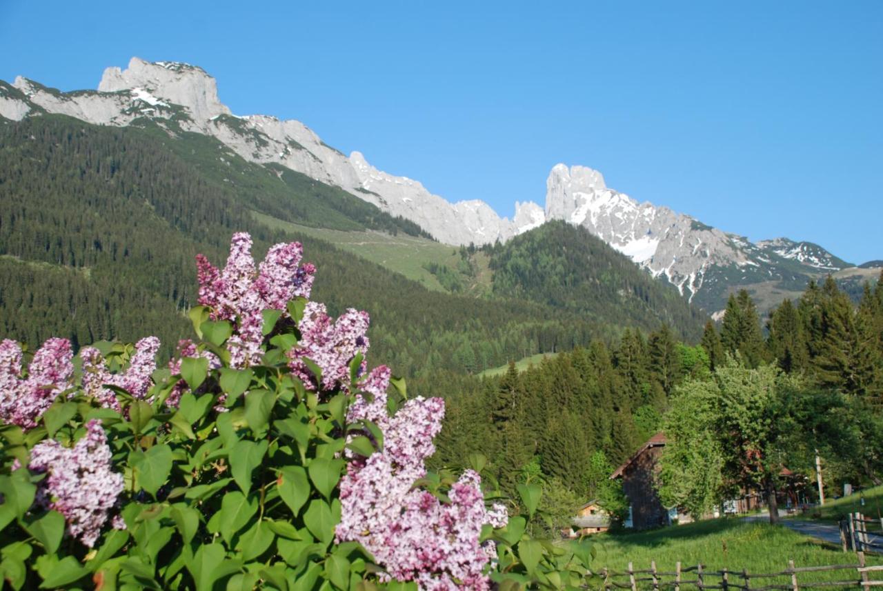 Alpenhaus Donnerkogel Apartment Анаберг им Ламертал Екстериор снимка