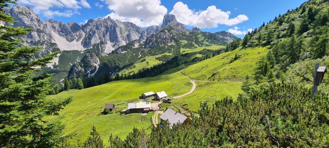 Alpenhaus Donnerkogel Apartment Анаберг им Ламертал Екстериор снимка