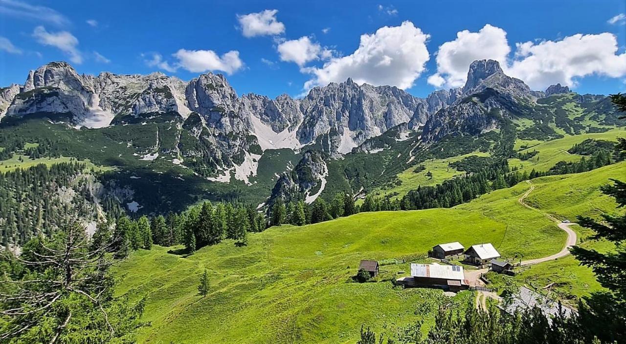 Alpenhaus Donnerkogel Apartment Анаберг им Ламертал Екстериор снимка