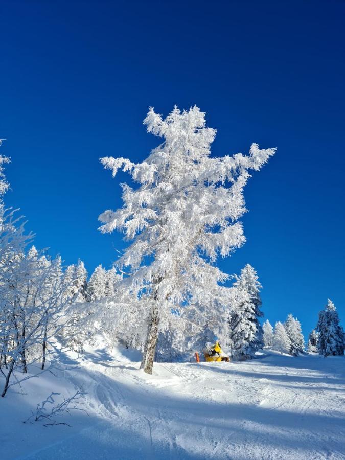 Alpenhaus Donnerkogel Apartment Анаберг им Ламертал Екстериор снимка